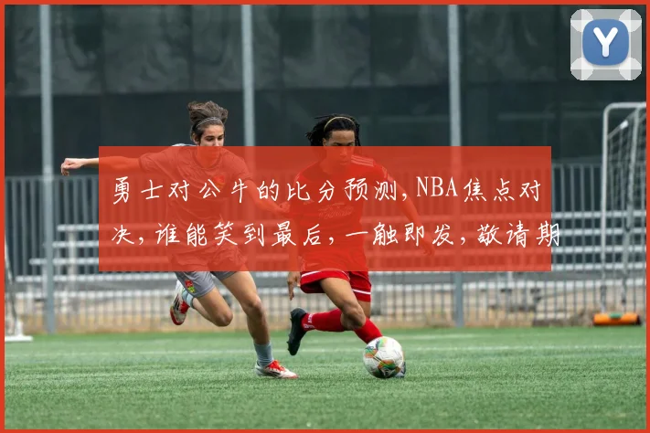 勇士对公牛的比分预测,NBA焦点对决,谁能笑到最后,一触即发,敬请期待