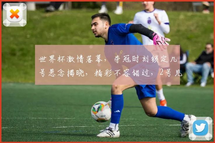 世界杯激情落幕，夺冠时刻锁定几号悬念揭晓，精彩不容错过，2号见证辉煌