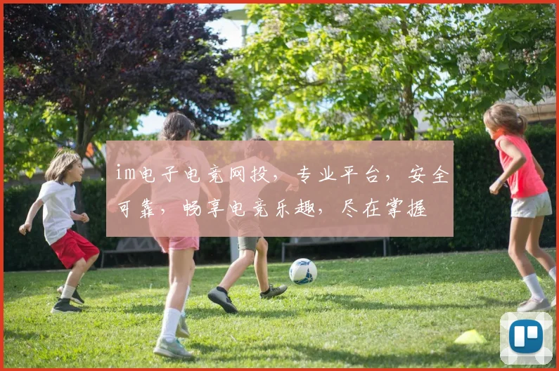 im电子电竞网投，专业平台，安全可靠，畅享电竞乐趣，尽在掌握