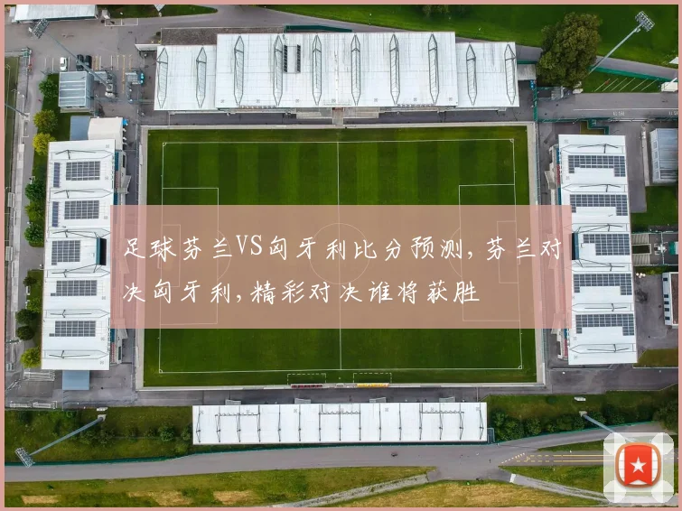 足球芬兰VS匈牙利比分预测,芬兰对决匈牙利,精彩对决谁将获胜
